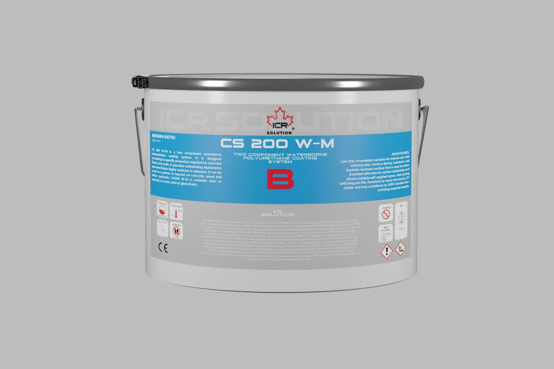 CS 200 W-M B